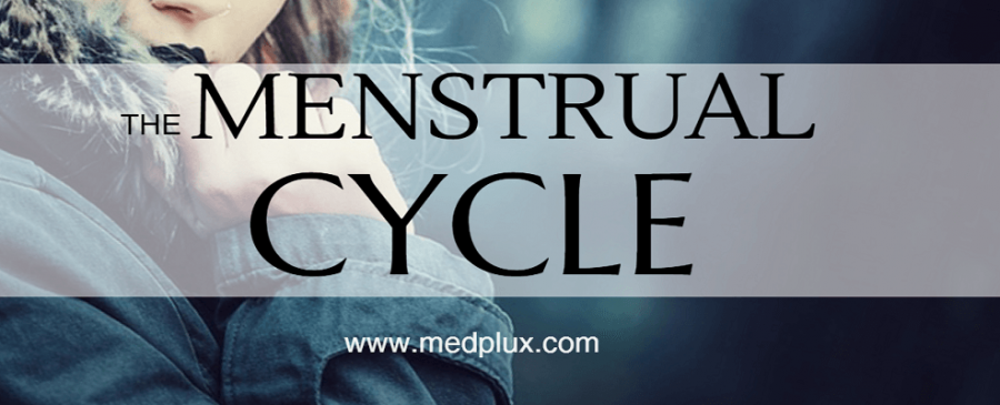 Menstrual cycle Menstruation Normal or Abnormal