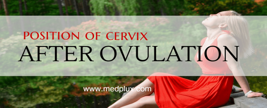 POSITION OF CERVIX AFTER OVULATION