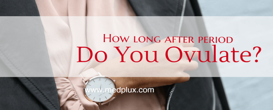 how long after period do you ovulate