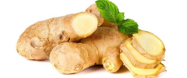 ginger for nausea and vomiting