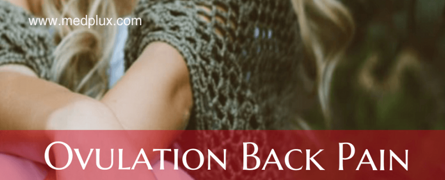 Lower ovulation back pain or pregnancy