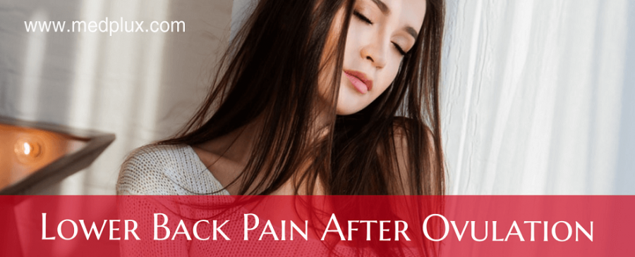 Lower Back Pain After Ovulation Pregnant or Not 4 MAIN Causes